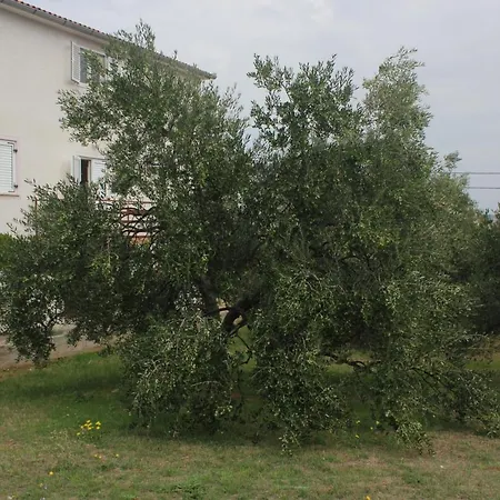 With Parking Space Kraj, Pasman - 8502 公寓