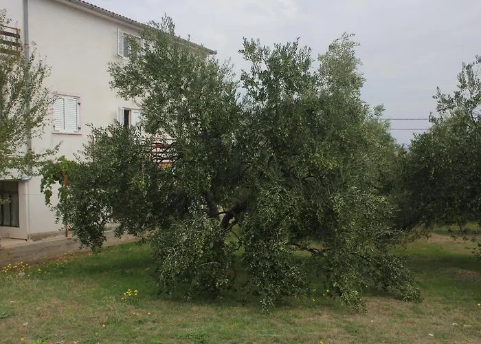 With Parking Space Kraj, Pasman - 8502 Διαμέρισμα